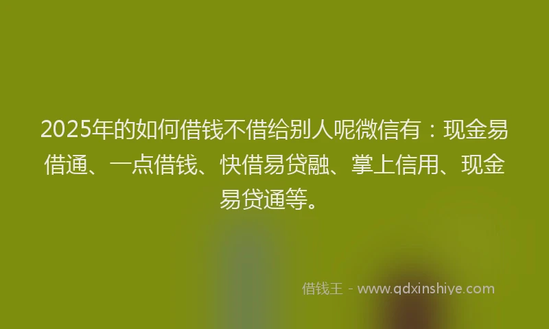 2025年的如何借钱不借给别人呢微信有：现金易借通、一点借钱、快借易贷融、掌上信用、现金易贷通等。
