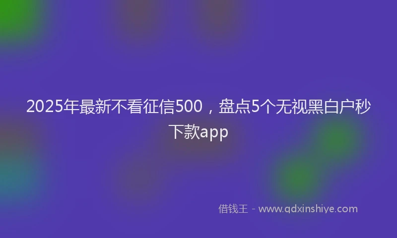 2025年最新不看征信500，盘点5个无视黑白户秒下款app