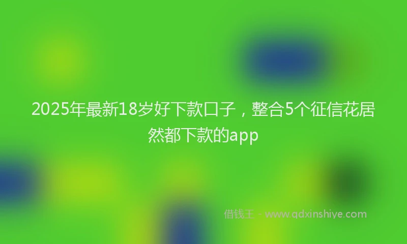 2025年最新18岁好下款口子，整合5个征信花居然都下款的app