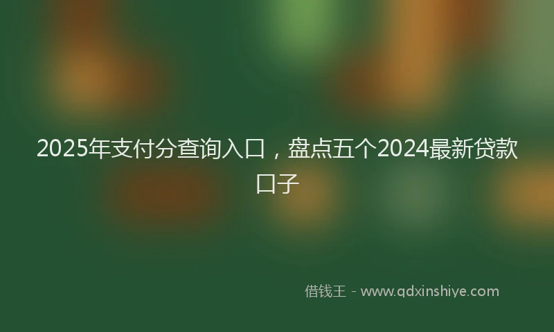 2025年支付分查询入口，盘点五个2024最新贷款口子