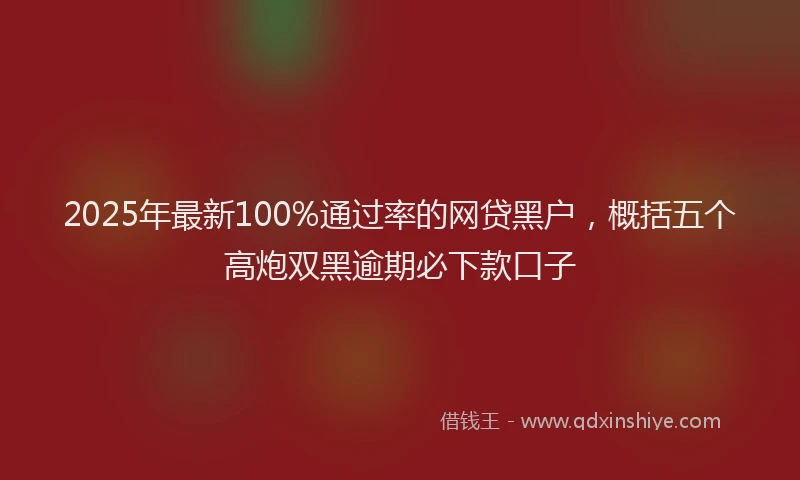 2025年最新100%通过率的网贷黑户，概括五个高炮双黑逾期必下款口子