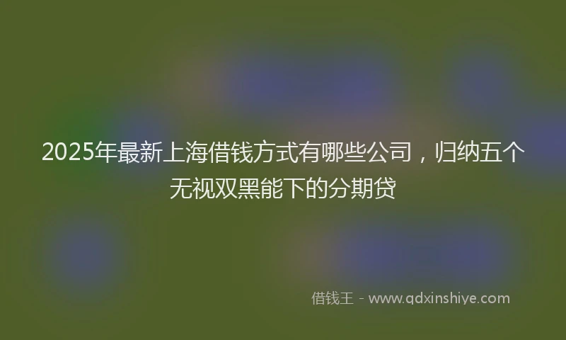 2025年最新上海借钱方式有哪些公司，归纳五个无视双黑能下的分期贷
