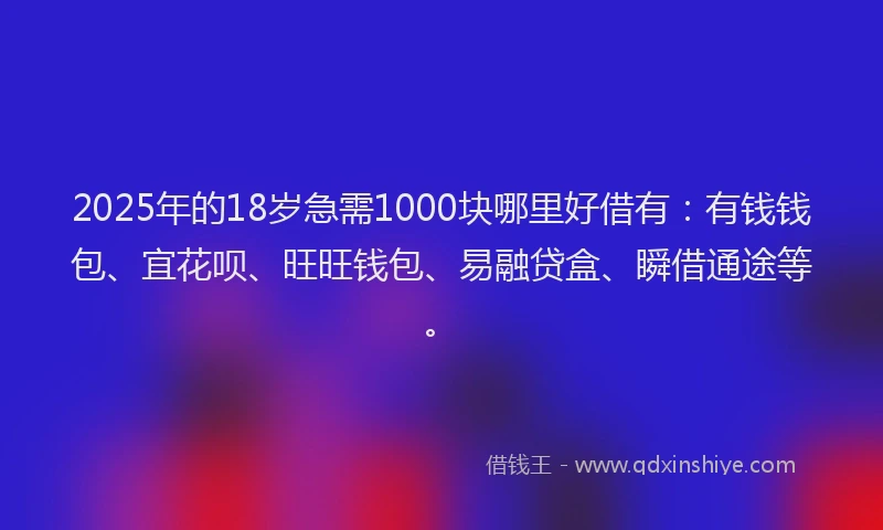 2025年的18岁急需1000块哪里好借有：有钱钱包、宜花呗、旺旺钱包、易融贷盒、瞬借通途等。
