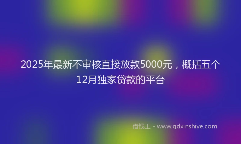 2025年最新不审核直接放款5000元，概括五个12月独家贷款的平台