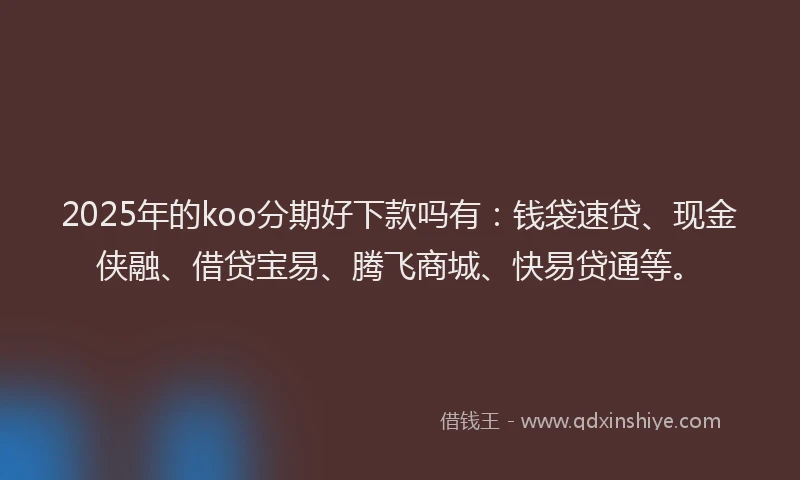 2025年的koo分期好下款吗有：钱袋速贷、现金侠融、借贷宝易、腾飞商城、快易贷通等。