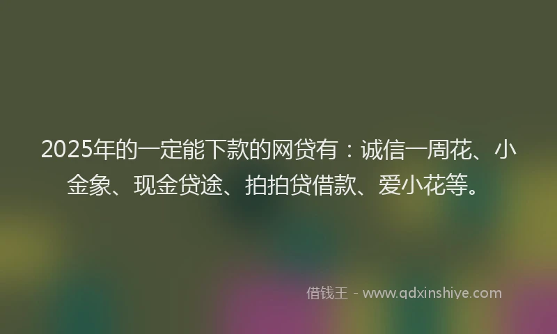 2025年的一定能下款的网贷有：诚信一周花、小金象、现金贷途、拍拍贷借款、爱小花等。