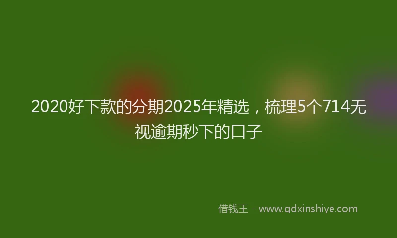 2020好下款的分期2025年精选，梳理5个714无视逾期秒下的口子