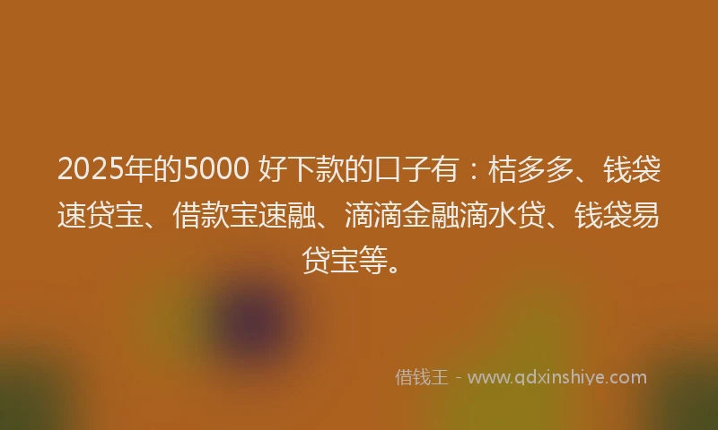 2025年的5000 好下款的口子有：桔多多、钱袋速贷宝、借款宝速融、滴滴金融滴水贷、钱袋易贷宝等。