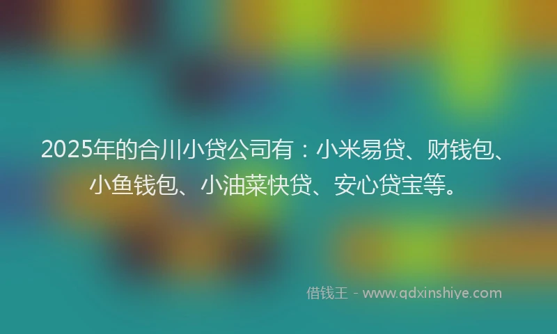 2025年的合川小贷公司有：小米易贷、财钱包、小鱼钱包、小油菜快贷、安心贷宝等。