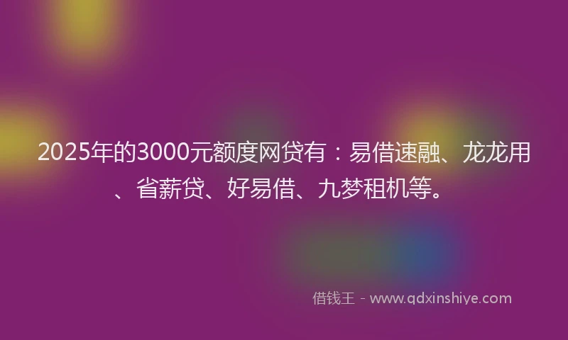 2025年的3000元额度网贷有：易借速融、龙龙用、省薪贷、好易借、九梦租机等。