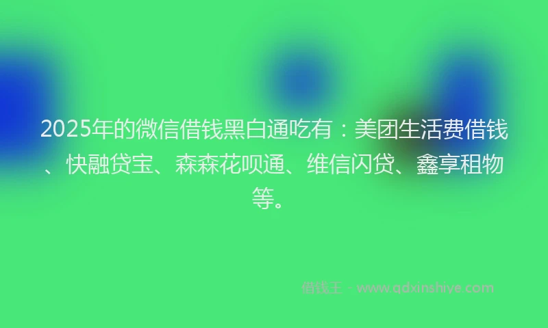 2025年的微信借钱黑白通吃有：美团生活费借钱、快融贷宝、森森花呗通、维信闪贷、鑫享租物等。