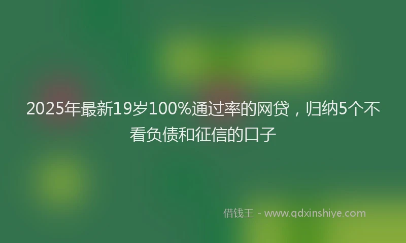 2025年最新19岁100%通过率的网贷，归纳5个不看负债和征信的口子