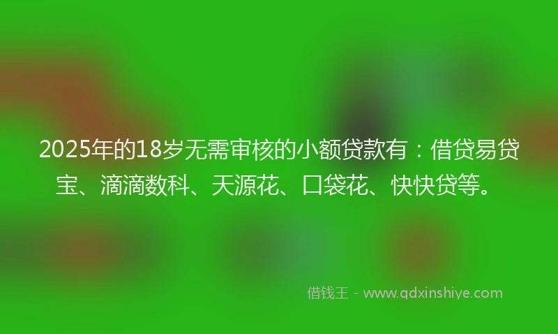 2025年的18岁无需审核的小额贷款有：借贷易贷宝、滴滴数科、天源花、口袋花、快快贷等。