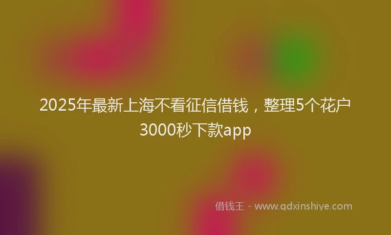 2025年最新上海不看征信借钱，整理5个花户3000秒下款app