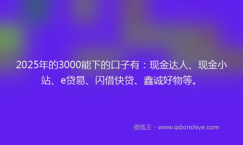 2025年的3000能下的口子有：现金达人、现金小站、e贷易、闪借快贷、鑫诚好物等。