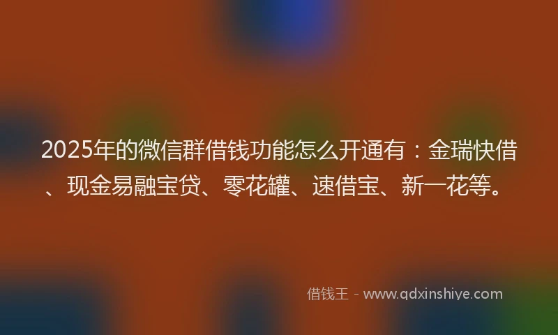 2025年的微信群借钱功能怎么开通有：金瑞快借、现金易融宝贷、零花罐、速借宝、新一花等。