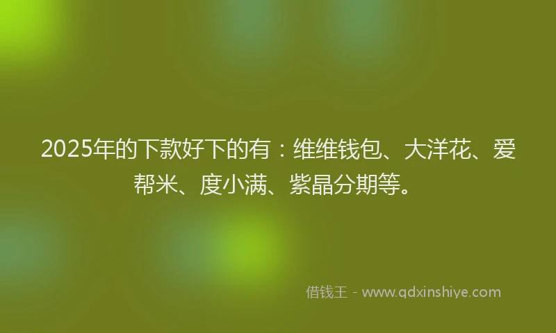 2025年的下款好下的有：维维钱包、大洋花、爱帮米、度小满、紫晶分期等。