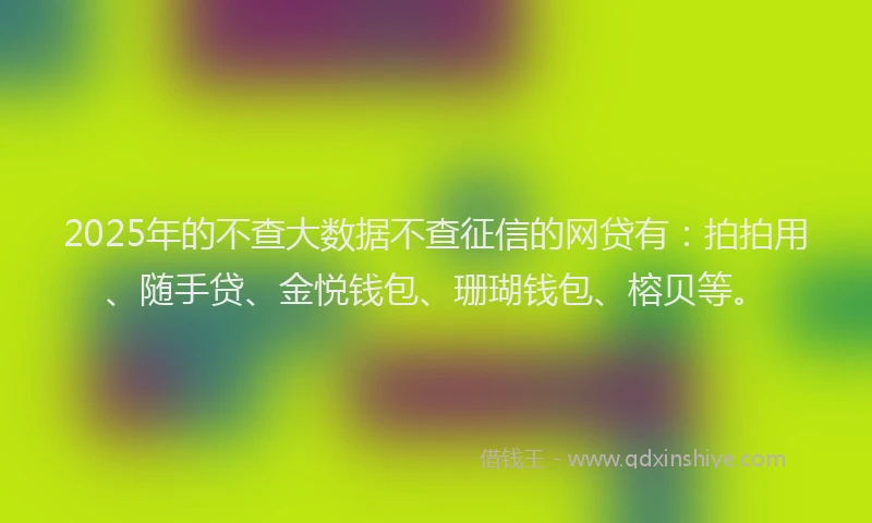 2025年的不查大数据不查征信的网贷有：拍拍用、随手贷、金悦钱包、珊瑚钱包、榕贝等。