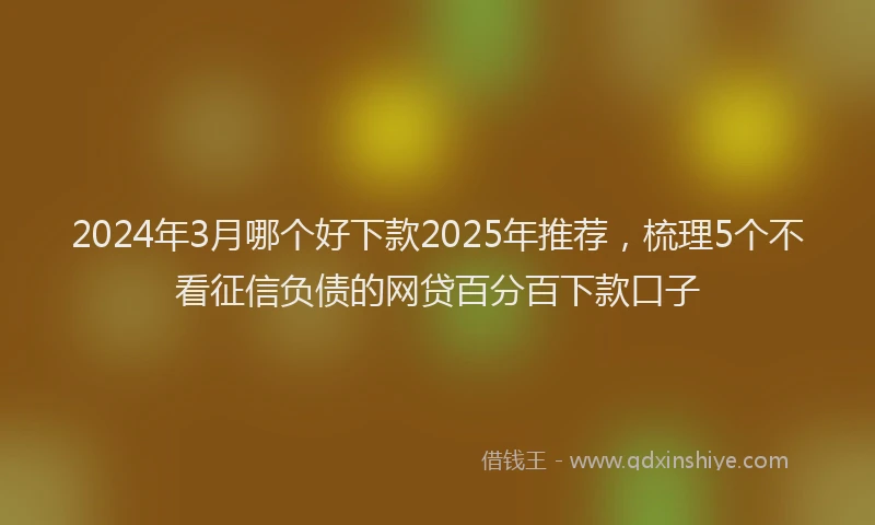 2024年3月哪个好下款2025年推荐，梳理5个不看征信负债的网贷百分百下款口子