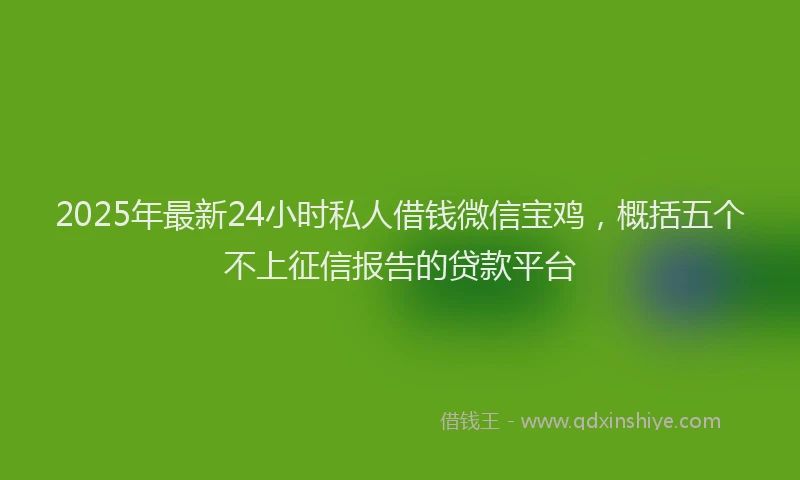 2025年最新24小时私人借钱微信宝鸡，概括五个不上征信报告的贷款平台