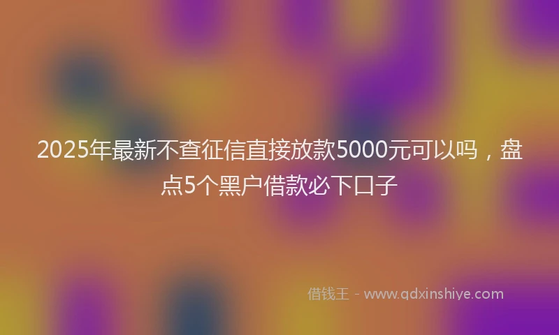 2025年最新不查征信直接放款5000元可以吗，盘点5个黑户借款必下口子