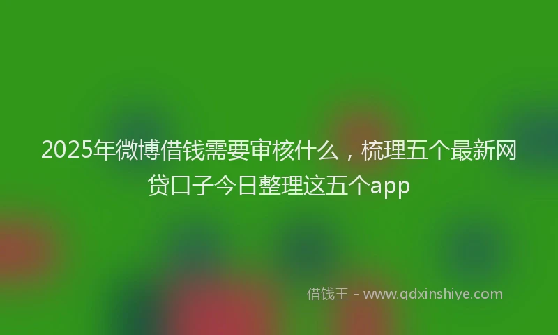 2025年微博借钱需要审核什么，梳理五个最新网贷口子今日整理这五个app