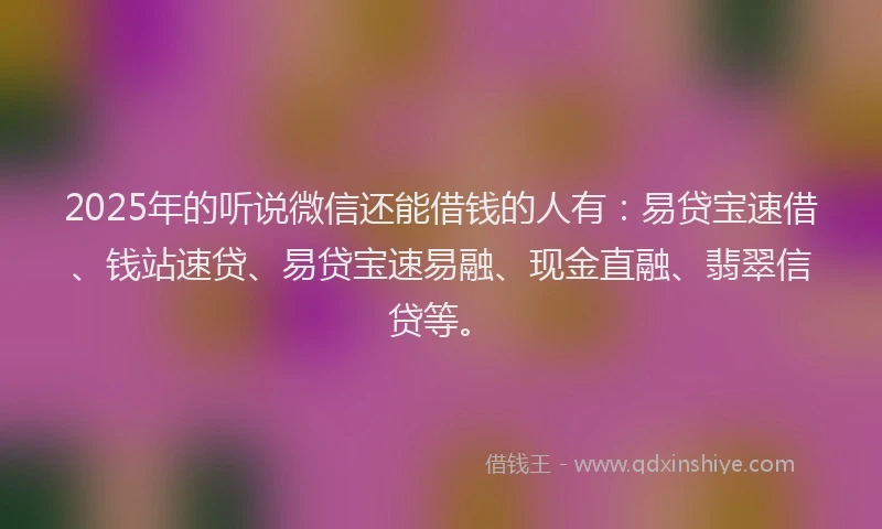 2025年的听说微信还能借钱的人有：易贷宝速借、钱站速贷、易贷宝速易融、现金直融、翡翠信贷等。
