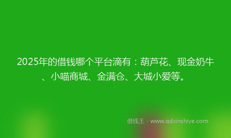 2025年的借钱哪个平台滴有：葫芦花、现金奶牛、小喵商城、金满仓、大城小爱等。