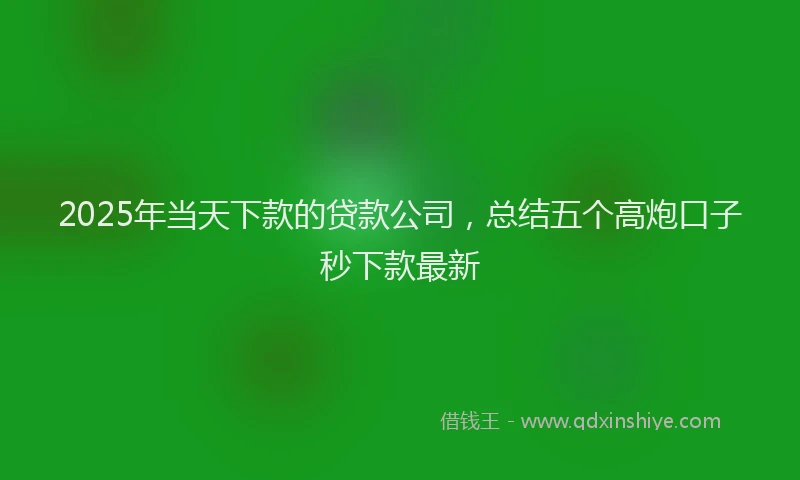2025年当天下款的贷款公司，总结五个高炮口子秒下款最新