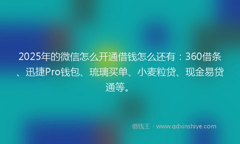 2025年的微信怎么开通借钱怎么还有：360借条、迅捷Pro钱包、琉璃买单、小麦粒贷、现金易贷通等。