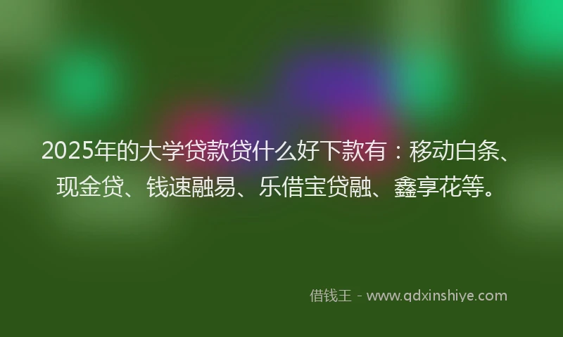 2025年的大学贷款贷什么好下款有：移动白条、现金贷、钱速融易、乐借宝贷融、鑫享花等。