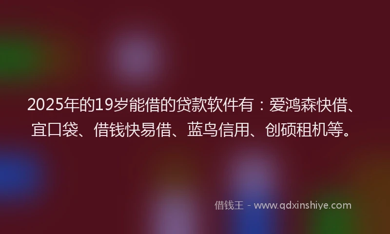 2025年的19岁能借的贷款软件有：爱鸿森快借、宜口袋、借钱快易借、蓝鸟信用、创硕租机等。