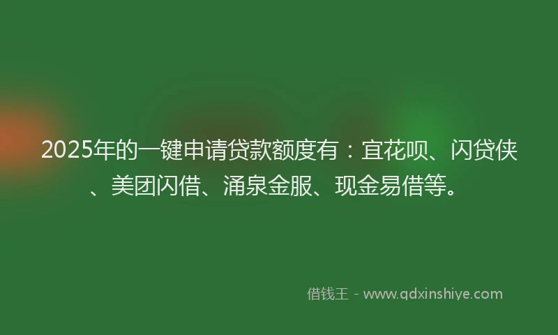 2025年的一键申请贷款额度有：宜花呗、闪贷侠、美团闪借、涌泉金服、现金易借等。