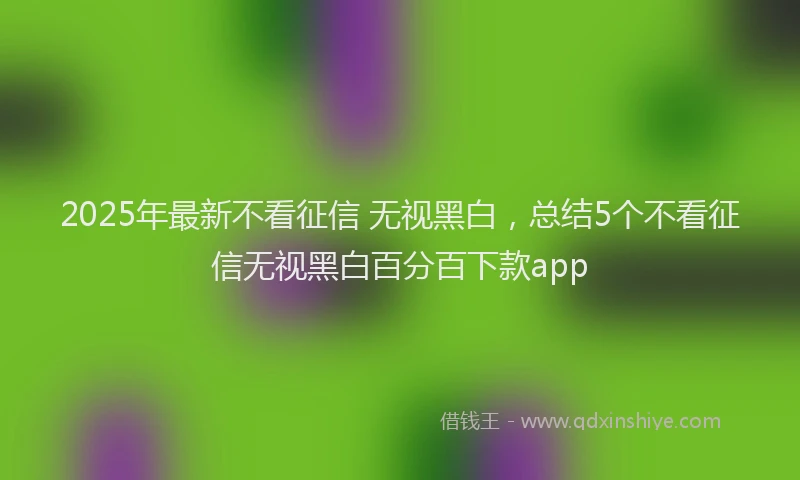 2025年最新不看征信 无视黑白，总结5个不看征信无视黑白百分百下款app