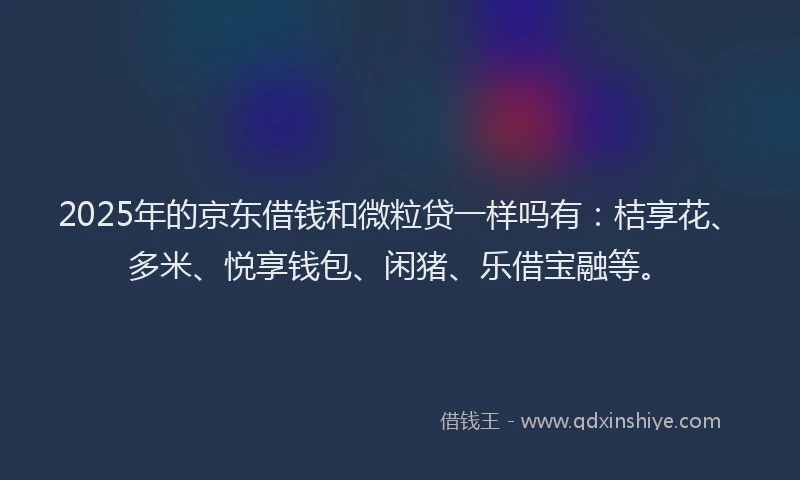 2025年的京东借钱和微粒贷一样吗有：桔享花、多米、悦享钱包、闲猪、乐借宝融等。