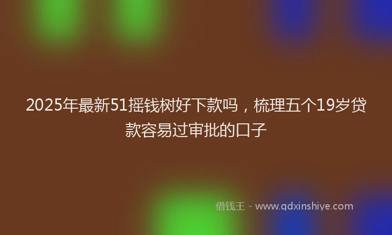 2025年最新51摇钱树好下款吗，梳理五个19岁贷款容易过审批的口子