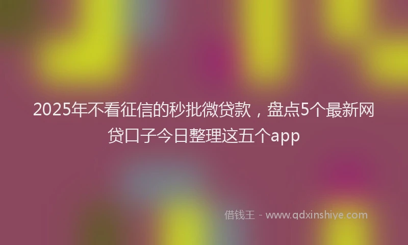 2025年不看征信的秒批微贷款，盘点5个最新网贷口子今日整理这五个app