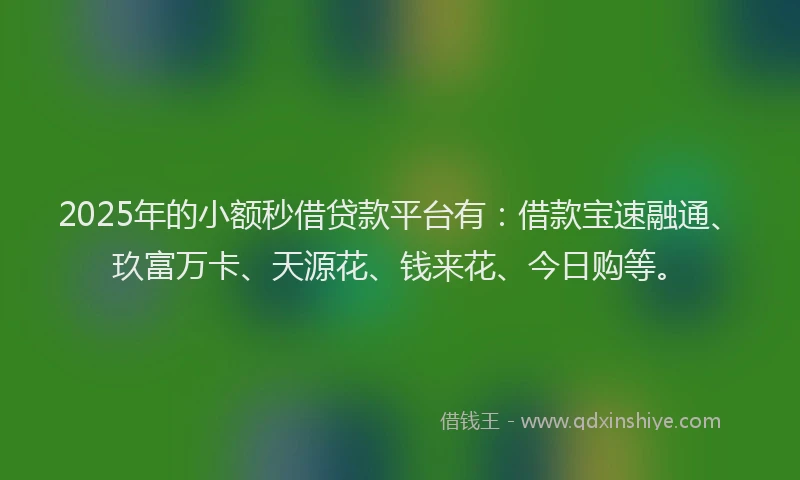 2025年的小额秒借贷款平台有：借款宝速融通、玖富万卡、天源花、钱来花、今日购等。