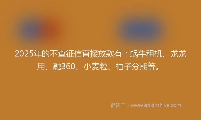 2025年的不查征信直接放款有：蜗牛租机、龙龙用、融360、小麦粒、柚子分期等。