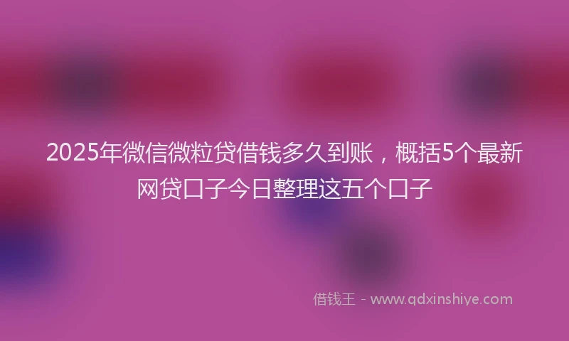 2025年微信微粒贷借钱多久到账，概括5个最新网贷口子今日整理这五个口子