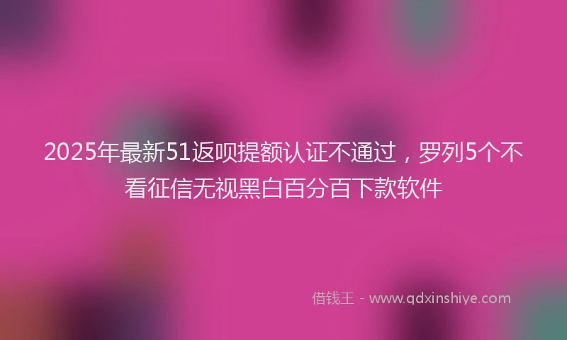 2025年最新51返呗提额认证不通过，罗列5个不看征信无视黑白百分百下款软件