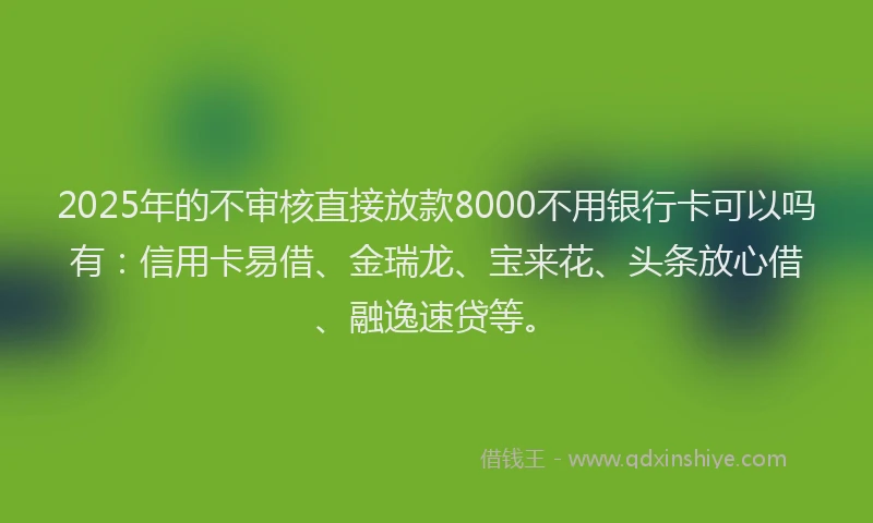 2025年的不审核直接放款8000不用银行卡可以吗有：信用卡易借、金瑞龙、宝来花、头条放心借、融逸速贷等。