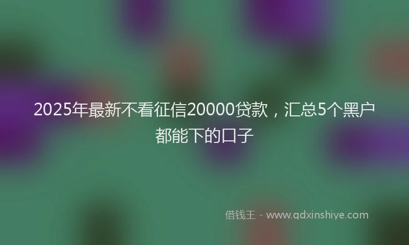 2025年最新不看征信20000贷款，汇总5个黑户都能下的口子