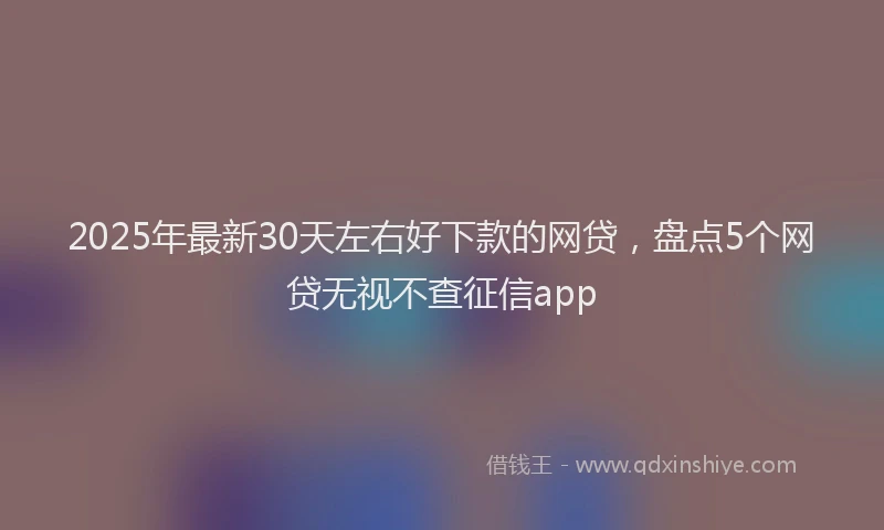 2025年最新30天左右好下款的网贷，盘点5个网贷无视不查征信app