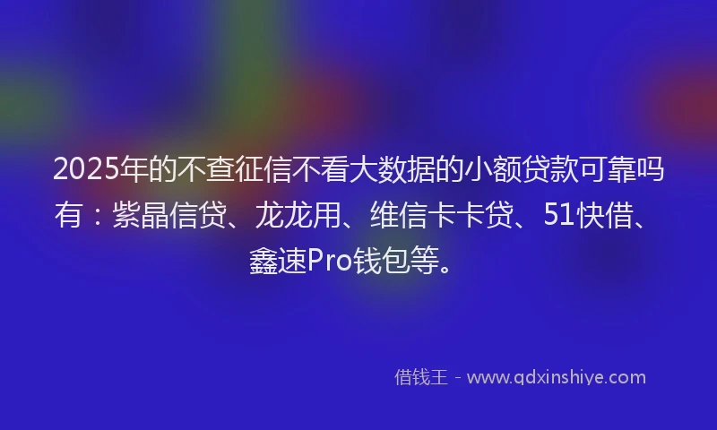 2025年的不查征信不看大数据的小额贷款可靠吗有：紫晶信贷、龙龙用、维信卡卡贷、51快借、鑫速Pro钱包等。