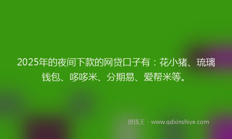 2025年的夜间下款的网贷口子有：花小猪、琉璃钱包、哆哆米、分期易、爱帮米等。
