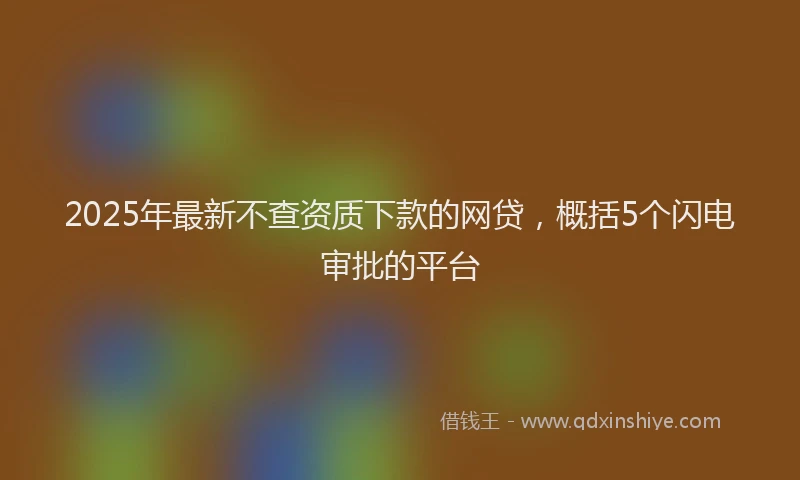2025年最新不查资质下款的网贷，概括5个闪电审批的平台