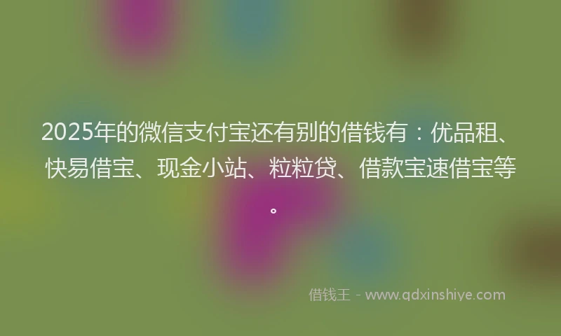 2025年的微信支付宝还有别的借钱有：优品租、快易借宝、现金小站、粒粒贷、借款宝速借宝等。
