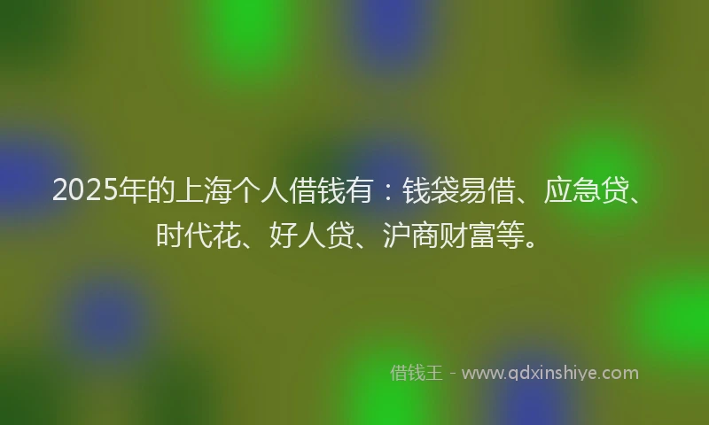 2025年的上海个人借钱有：钱袋易借、应急贷、时代花、好人贷、沪商财富等。