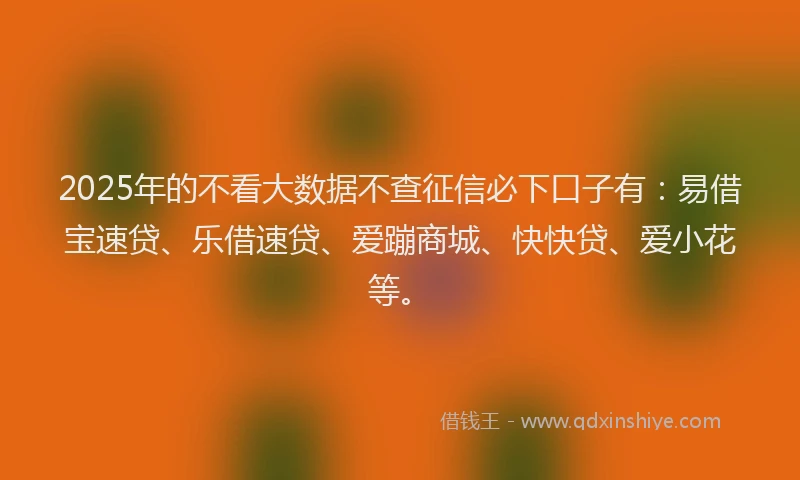 2025年的不看大数据不查征信必下口子有：易借宝速贷、乐借速贷、爱蹦商城、快快贷、爱小花等。